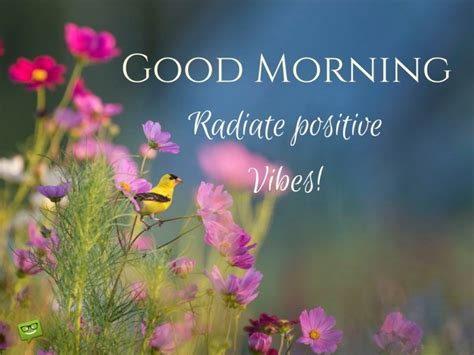 Good Morning Radiate Positive Vibes Pictures, Photos, and Images for Facebook, Tumblr, Pinterest ...