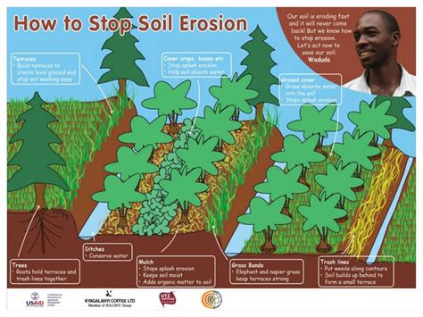 Soil Erosion And Conservation