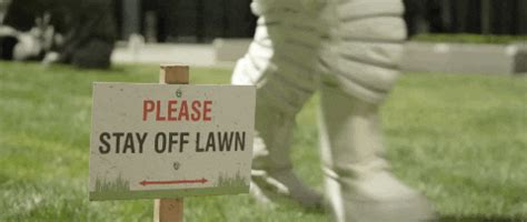 Stay Off Lawn GIFs - Get the best GIF on GIPHY