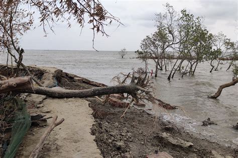 India, the brutal effects of Cyclone Amphan in West Bengal won’t fade ...