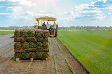 Sod Farm & Best Sod Installation Company in Sioux City | Siouxland Sod