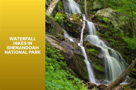 Waterfall Hikes in Shenandoah National Park - jasonexplorer.com