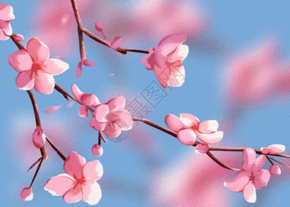 Stock Cherry Blossom Scene illustration royalty-free pictures - Lovepik