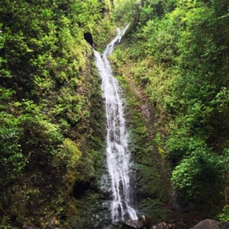 Lulumahu Falls - Lulumahu Falls - Honolulu, HI, United States