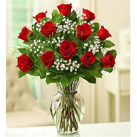 Dozen Long-Stem Red Roses Jay City Florist | The Flower Barn