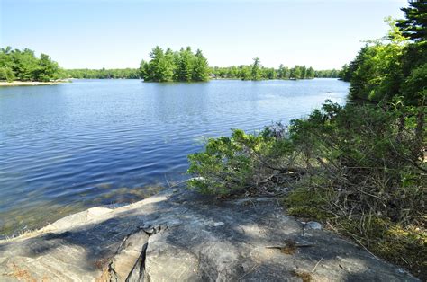 This Randomness: Six Mile Lake Provincial Park