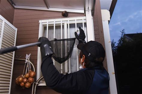 Hornet Nest Removal: Tips for Safe and Effective Extraction