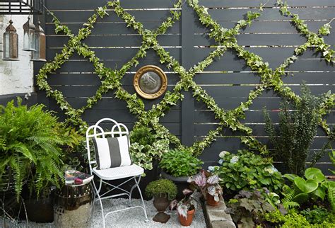 Garden Design Tips