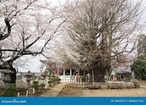 Chiba Temple editorial photography. Image of famous - 148323527