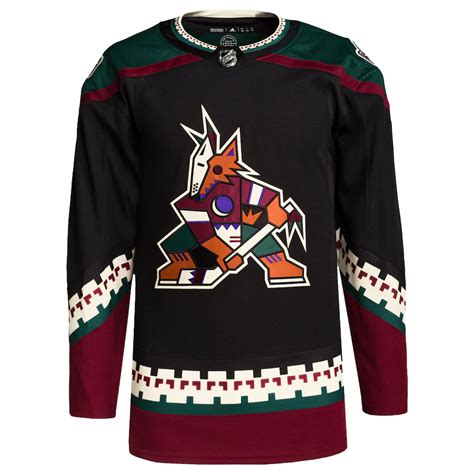 Arizona Coyotes Colors - Team Color Codes