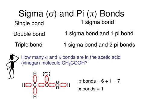 How To Count Sigma And Pi Bonds In Benzene - cloudshareinfo