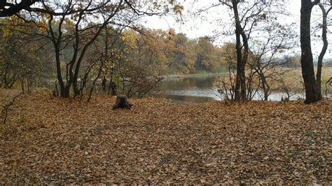 Autumn forest by the river : r/Fotografie