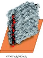 A hierarchical NiCo2S4 honeycomb/NiCo2S4 nanosheet core–shell structure for supercapacitor ...