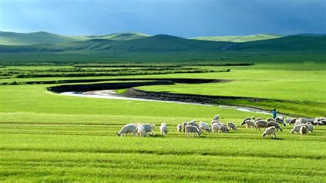 Inner Mongolian Grasslands - News - Cardiff University