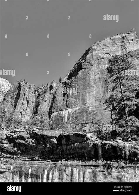 Large rock mountain under clear sky with tall trees and valley. Black and white Stock Photo - Alamy