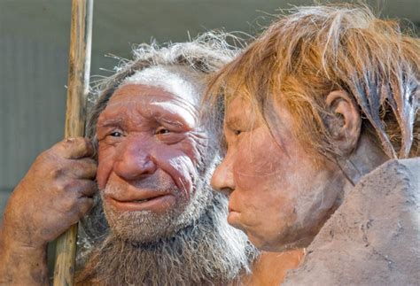 Sally and Sam: Humans and Neanderthals may have interbred 50,000 years ...