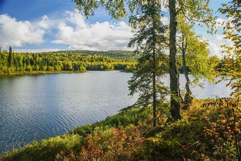 Talkeetna - Alaska Nature Guides