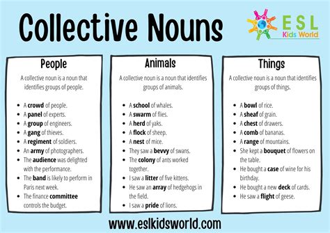 Collective Nouns Examples | What is a Collective Noun? | ESL Kids World