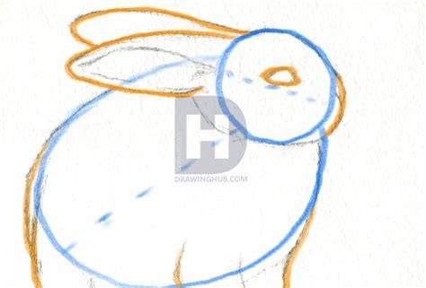 Bunny Pencil Drawing | Free download on ClipArtMag