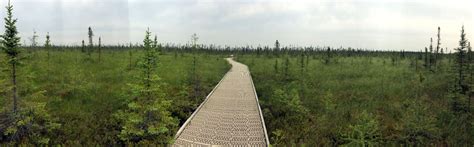 Big Bog State Recreation Area – Parks & Trails Council of Minnesota