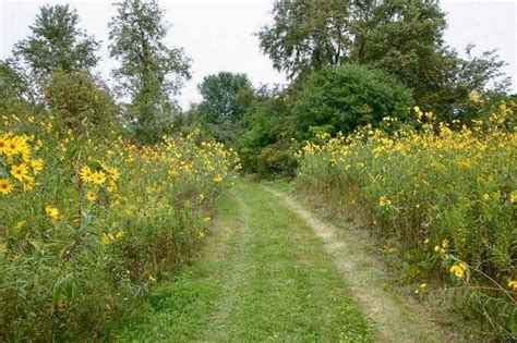 The fall foliage at these 10 state parks in colorado is stunningly ...