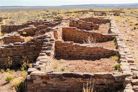 All you need to know about visiting Petrified Forest National Park ...