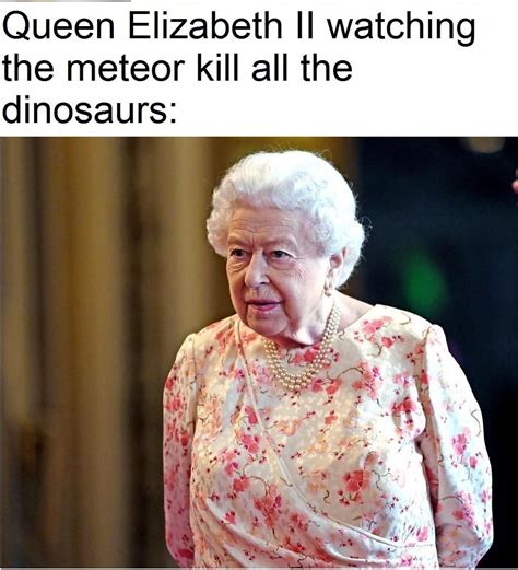 She saw it all happen | /r/memes | Queen Elizabeth Is Immortal | Celebrity memes, Queen meme ...