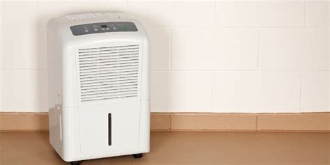 Why Use a Dehumidifier in a Wet Basement? - Beaver Basement Waterproofing