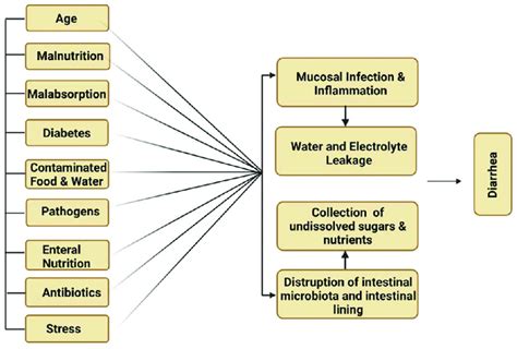 Major causes of diarrhea. | Download Scientific Diagram