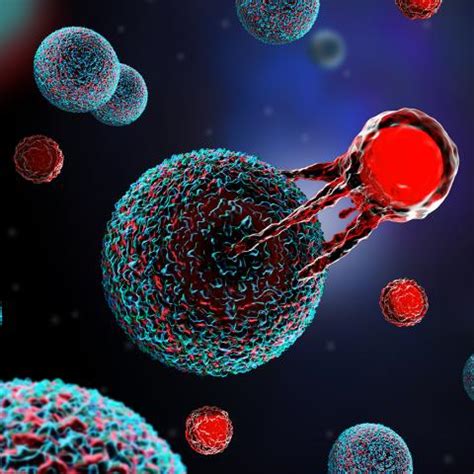 T-cell imbalance can impact immunotherapy outcomes | Center for Cancer Research