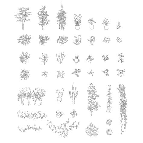 Cad Blocks Plants Elevation