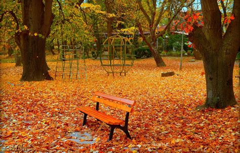 Wallpaper Autumn, Bench, Park, Fall, Foliage, Park, Autumn, Colors images for desktop, section ...