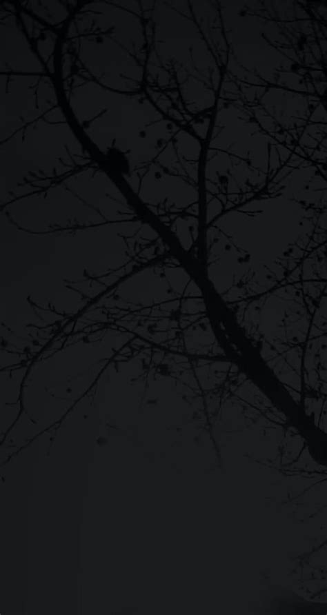 Idowpp by trc, aesthetic, tree, trees, black, black aesthetic, bytrc ...