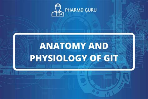 24. ANATOMY AND PHYSIOLOGY OF GIT - PHARMD GURU