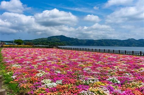 10 amazing things to do in Kagoshima, Japan! - fromJapan