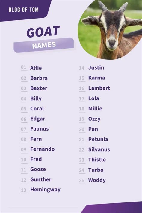 999+ Goat Names (BEST, Funny & Cute Ideas In 2024!)