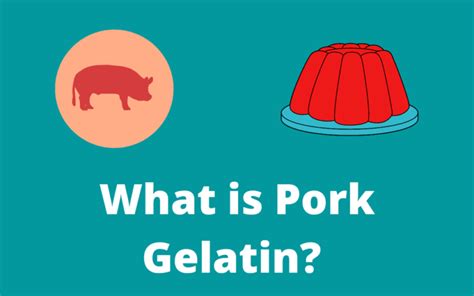 What is Pork Gelatin? Why Is It Used In Most Products Now? - Foodsalternative