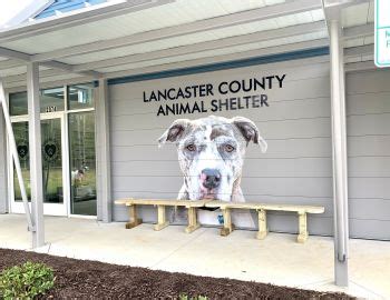 Pets for Adoption at Lancaster County Animal Shelter, in Lancaster, SC | Petfinder