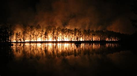 Pine Barrens forest fire fully contained after burning over 800 acres | NJ.com