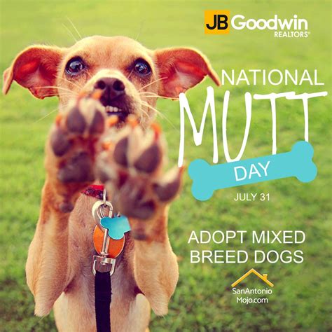 Oh, it's National Mutt Day. Will you be adopting soon? | National mutt day, Mixed breed dogs ...