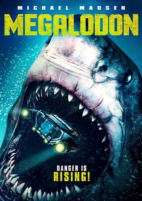 Megalodon [DVD] [Region 2]: Amazon.ca: Movies & TV Shows