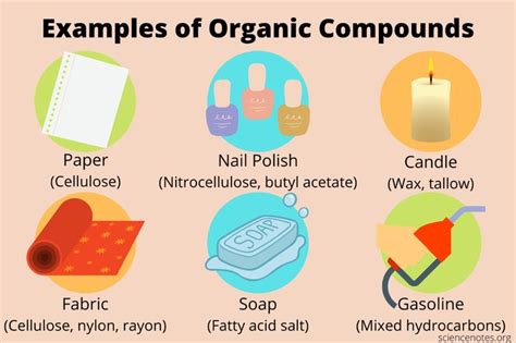 Examples of Organic Compounds in Everyday Life | Organic molecules, Compounds science, Compounds