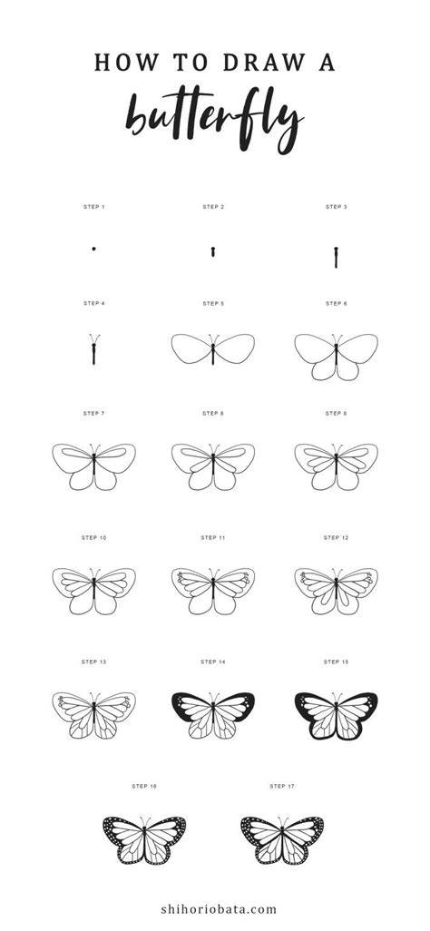 How to Draw a Butterfly: Easy Step by Step Tutorial | Easy butterfly drawing, Butterfly drawing ...