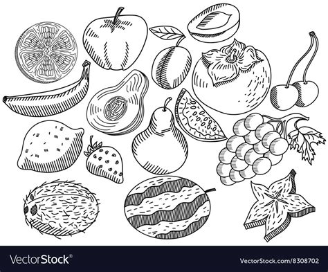 Fruits coloring book for adults Royalty Free Vector Image