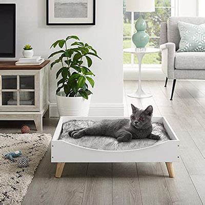 Raised And Elevated Cat Beds You And Your Kitty Will Love! – Meow As Fluff