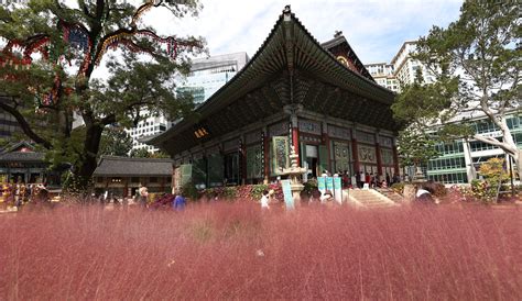 Jogyesa_Temple_20201015_11 | Fall in Jogyesa Temple October … | Flickr