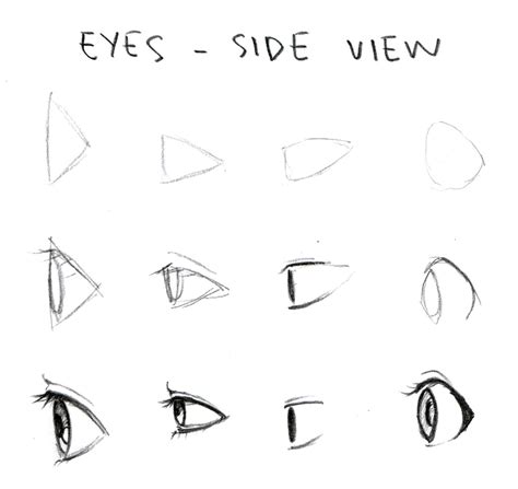Eye Side View Drawing