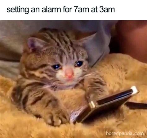 96 Of The Funniest Sleeping Memes Ever