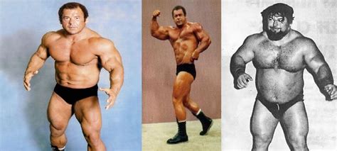 ivan putski wrestler - - Image Search Results | Wrestler, Image search ...