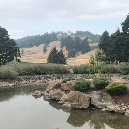 Oregon Select Wine Tours (Newberg) - 2019 All You Need to Know BEFORE You Go (with Photos ...